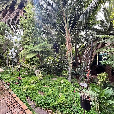 Somerset West Garden Apartments 1 Dış mekan fotoğraf